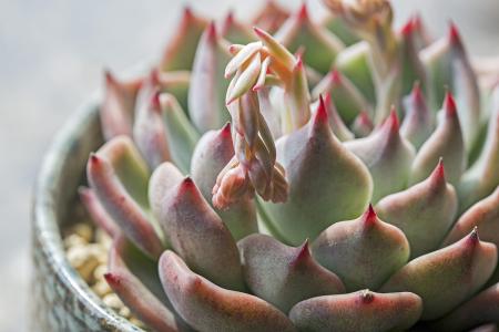 ÍÑÆ¶¹¥¼á£üÐÃÖÝ£º¡°×ßÎ÷¿Ú¡±¹ÊµØµÄ·´Æ¶À§¾öÕ½