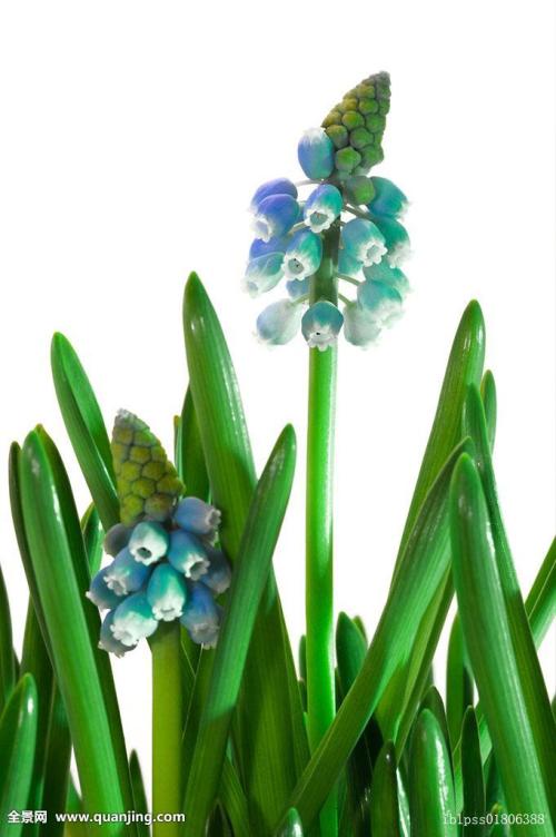 ´ºÔË£ü12306ÊÛÆ±ÌáǰÁË 60ËêÒÔÉÏÂÿÍÓÅÏÈÅÅÏÂÆÌ