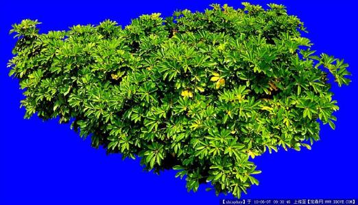 ¹úÆó¸Ä¸ïÈýÄêÐж¯¿ª¾ÖÖ®Äê:´Ó¡°Ö½Ã桱µ½¡°µØÃ桱