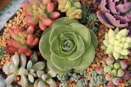 ÄϺ½¡°Ó¢ÐÛ»ú³¤¡±ÀëÊÀ Ôø¼Ý¹ÊÕÏ·É»ú°²È«Â䵨